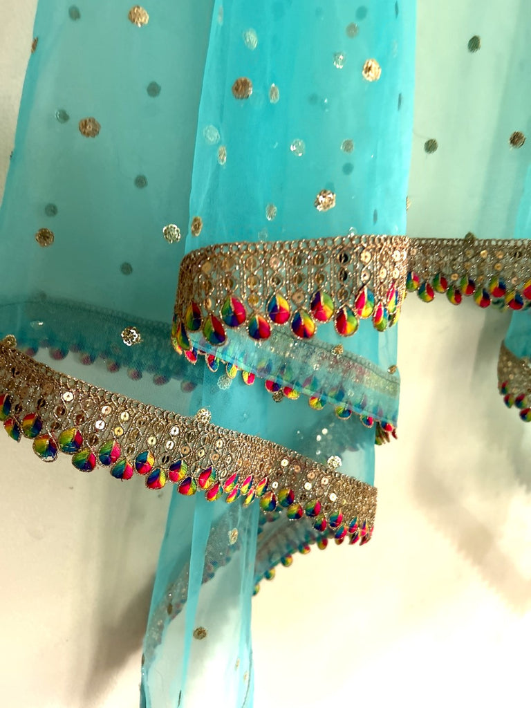 Blue Net dupatta with border. Wedding chunri