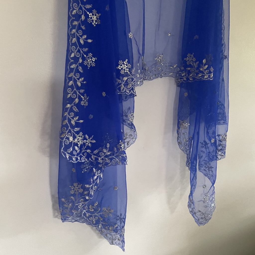 Blue silver net dupatta