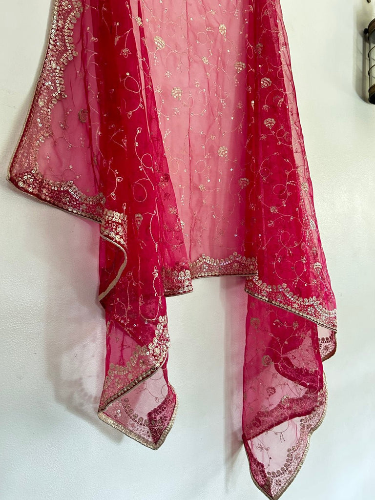 Red Net dupatta all over embroidery. - Neel Creations By Saanvi