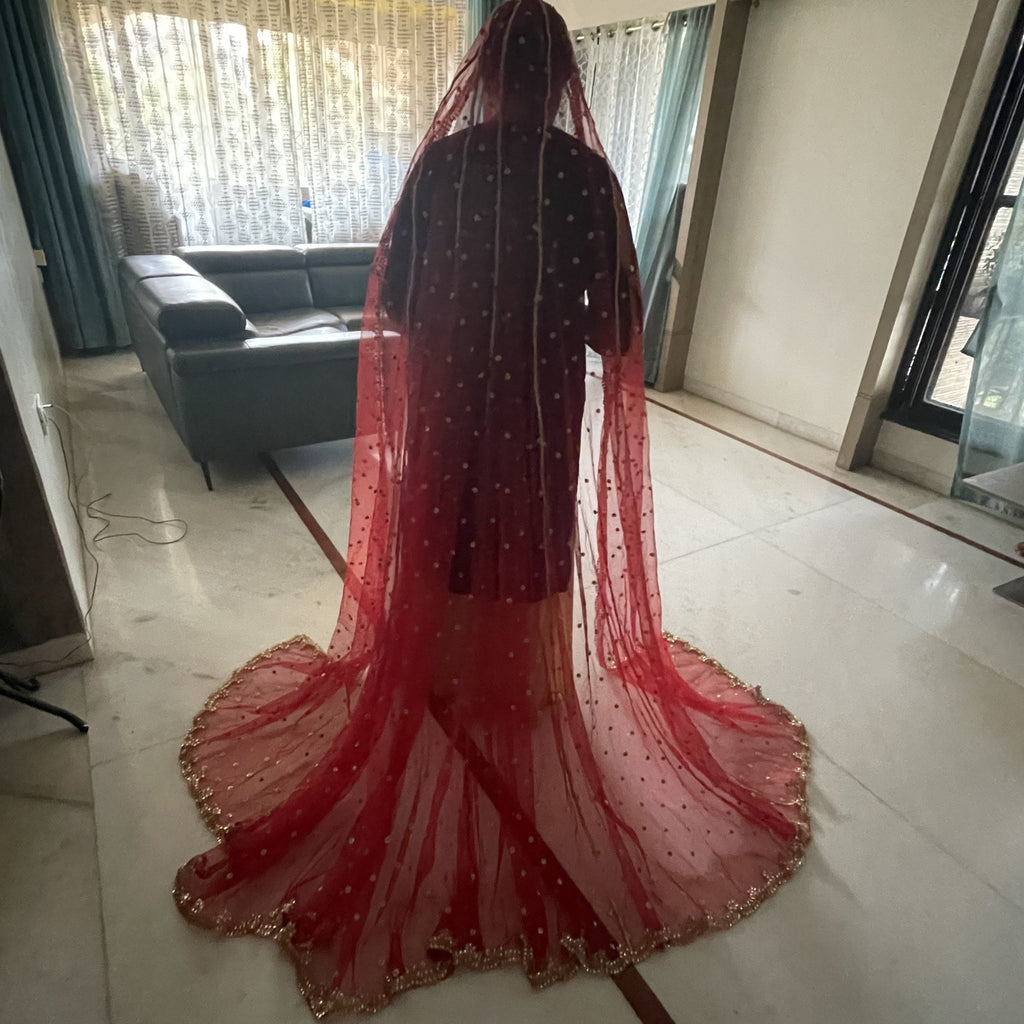 Breathtaking veil shots & splendid red bridal lehenga that will steal your  heart❤ Outfit @plumtin_motif Makeup @tanyakaur_makeupartist... | Instagram